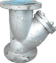 Y-STRAINER | Divine Gate Investments Ltd